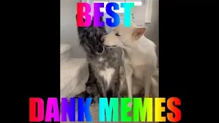 (OFFENSIVE WARNING) BEST DANK MEME COMPILATION V8