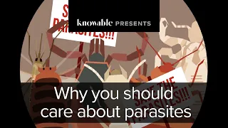 Why you should care about parasites