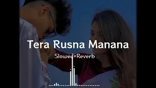 Tera Rusna Manana 😏🍁 [ Slowed + Reverb ] hariyanvi Song #lofimusic