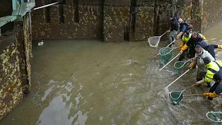 What They Discovered Under a Bridge Shocked the Whole World