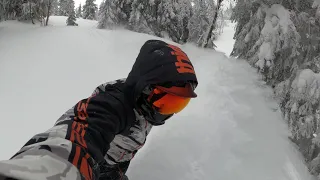 Pilsko Powder Heaven - uncut video