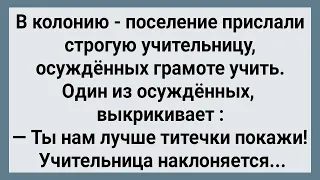 Как в Колонии - Поселении Строгая Учительница Осужденных Грамоте Учила! Сборник Свежих Анекдотов!