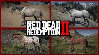 RDR2 Top 4 Ignored Rare Horses With Location Red Dead Redemption 2