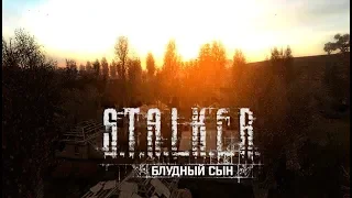 S.T.A.L.K.E.R.: Блудный сын