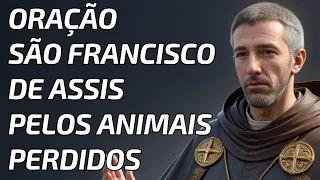 Oração São Francisco de Assis Pelos Animais Perdidos