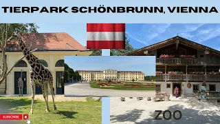 Tierpark Schönbrunn (Zoo) - Vienna, AT -  Walking Tour - 4K - 2023