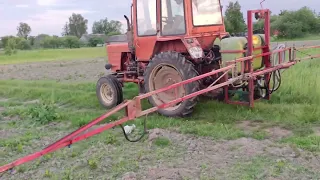 Оскар преміум 3 літри на гектар. Обробка куки гербіцидом #farming #farmer #agriculture