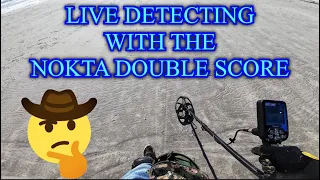 Live Dig with the Nokta Double Score