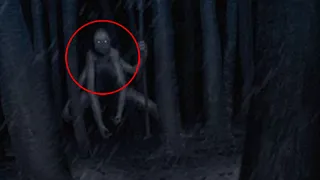 Mysterious Creature Sightings That We Cannot Explain