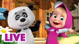 🔴 LIVE! Maşa İle Koca Ayı 🤩🤸 Her hafta sonu eğlence 😊🙌 Masha and the Bear