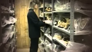 Mutter Museum Documentary │ Full video │