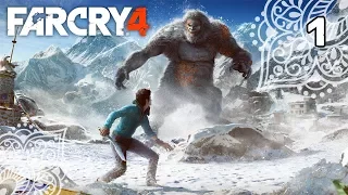 Прохождение Far Cry 4 Долина Йети — Часть - 1: Затерянная долина.