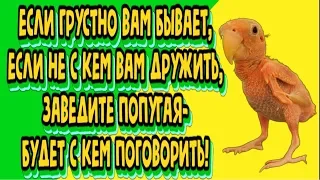 Небольшой позитивчик для моих друзей !!! Ты точно Улыбнёшься !!!