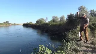 Река Чу  Время жереха