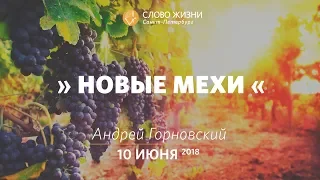 "Новые мехи" - Андрей Горновский, "Слово Жизни", г. Санкт-Петербург