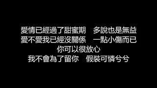 張惠妹 - 我恨我愛你(歌詞版)