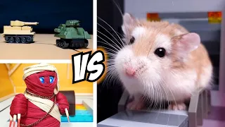 Brave HAMSTER vs ROBOT MONSTERS - Real life pet hamster action