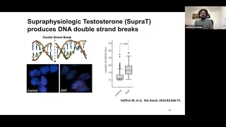 "Supraphysiological Testosterone: engaging the Immune System in Prostate Cancer" Susant Kachhap, PhD