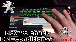 Peugeot-Citroen diagnostic tool. How to check your DPF's life with FAP app. Erase faults & Live data