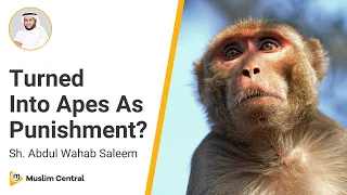 Were People Actually Turned Into Apes By Allah? - Sh. @AbdulWahabSaleem