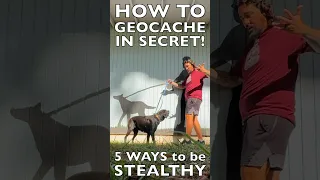 How to GEOCACHE in SECRET with the 5 best ways to be STEALTHY #geocaching #geocache #shorts