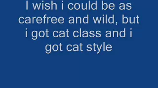 Stray Cat Strut Lyrics