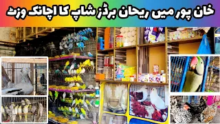 A Surprise Visit to Birds Shop in Khanpur | 🦜 | 🐔 | 🐦