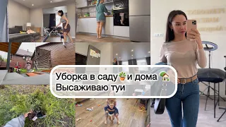 УБОРКА В САДУ И ДОМА 🏡 ВЫСАЖИВАЮ ТУИ| собрали детскую площадку