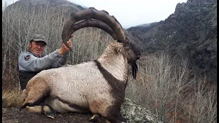 BEZOAR IBEX HUNTING  TURKISH FRONTIER & MUSTAFA YILMAZ