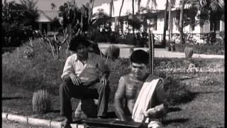 Parasakthi | Tamil Movie Comedy | Sivaji Ganesan | Pandari Bai