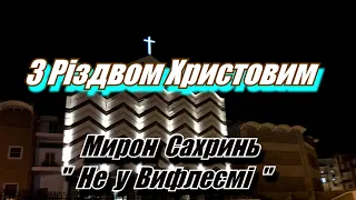 Мирон Сахринь "Не у Вифлеємі"