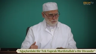 “Ağaçlardaki Bir Tek Yaprak Marifetullah’a Bir Divandır’’