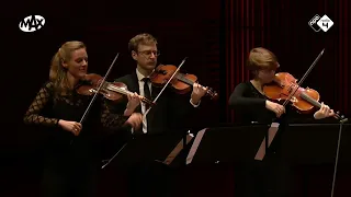 Holland Baroque: Hammerschmidt/Pezel/Holborne - Suite