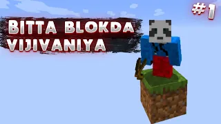 BLU SKY BILAN MINECRAFT ONE BLOK VIJIVANIYA