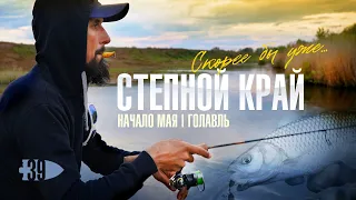 Степной край | Начало мая | Голавль