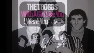 THE TROGGS      " WITH A GIRL LIKE YOU "     STEREO 2022 MIX.....