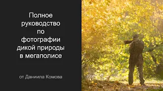 Полное руководство по фотографии дикой природы в мегаполисе