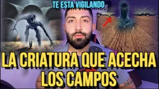 LA CRIATURA QUE ACECHA EN LOS CAMPOS (Ten cuidado si la ves)