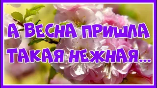 "А весна пришла такая нежная..." - Сборник красивых видеороликов и восхитительная музыка!