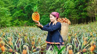 Single life of an ethnic minority girl - Harvesting Pineapple Hill Goes to the market sell