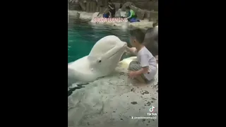 La beluga tiene lado oscuro?