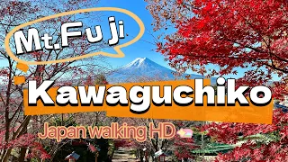 Kawaguchiko Best Viewing Spots of Mt. Fuji | Exploring Lake Kawaguchi Japan