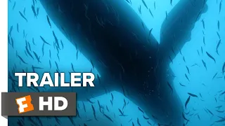 Sea of Shadows Trailer #1 (2019) | Movieclips Indie