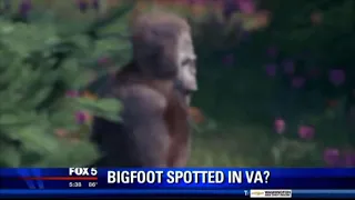 Bigfoot Sighting In Blender