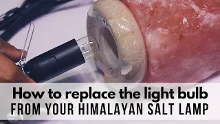 How to replace the light bulb from your Himalayan Salt Lamp