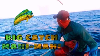 BIG CATCH: Napalaban Sa Pag Batak | Non Stop Mahi Mahi Action! | Handline Fishing