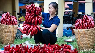 Harvest Red Banana Garden Goes to the market sell - Harvesting and Cooking | Daily Life