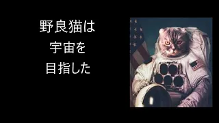 野良猫は宇宙を目指した[30分耐久]