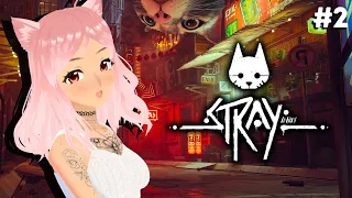 【Stray】 meow counter: 800842069