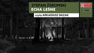 Echa leśne | Stefan Żeromski | Audiobook po polsku